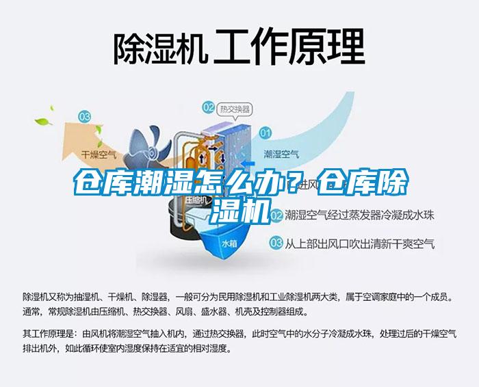 仓库潮湿怎么办？仓库草莓视频APP在线