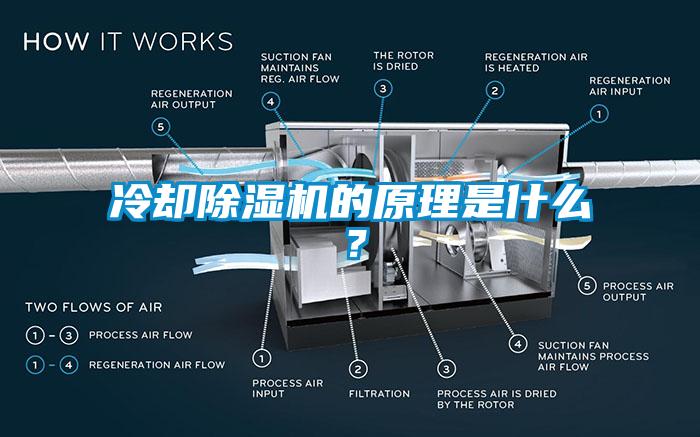 冷却草莓视频APP在线的原理是什么？