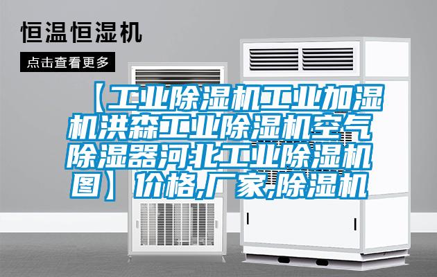 【工业草莓视频APP在线工业加湿机洪森工业草莓视频APP在线空气除湿器河北工业草莓视频APP在线图】价格,厂家,草莓视频APP在线