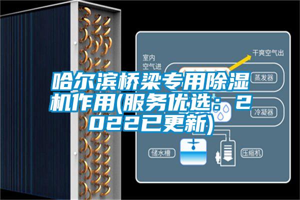 哈尔滨桥梁专用草莓视频APP在线作用(服务优选：2022已更新)