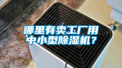 哪里有卖工厂用中小型草莓视频APP在线？