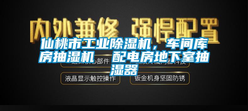 仙桃市工业草莓视频APP在线，车间库房抽湿机  配电房地下室抽湿器