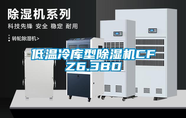 低温冷库型草莓视频APP在线CFZ6.3BD