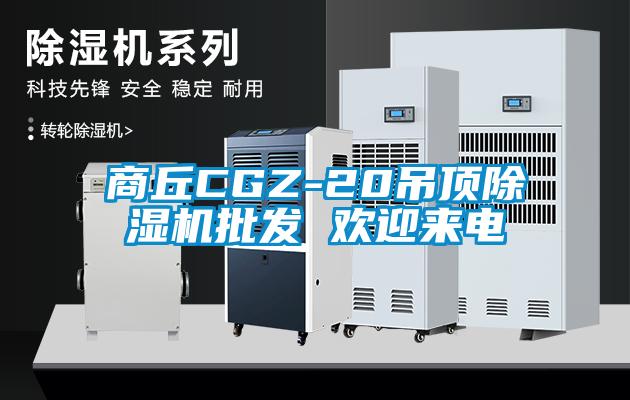 商丘CGZ-20吊顶草莓视频APP在线批发 欢迎来电