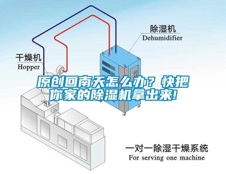 原创回南天怎么办？快把你家的草莓视频APP在线拿出来!