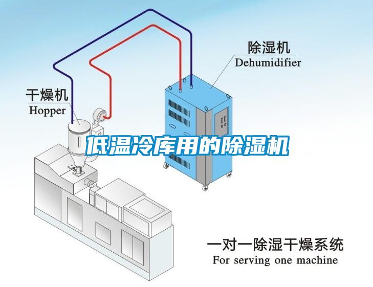 低温冷库用的草莓视频APP在线