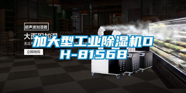 加大型工业草莓视频APP在线DH-8156B