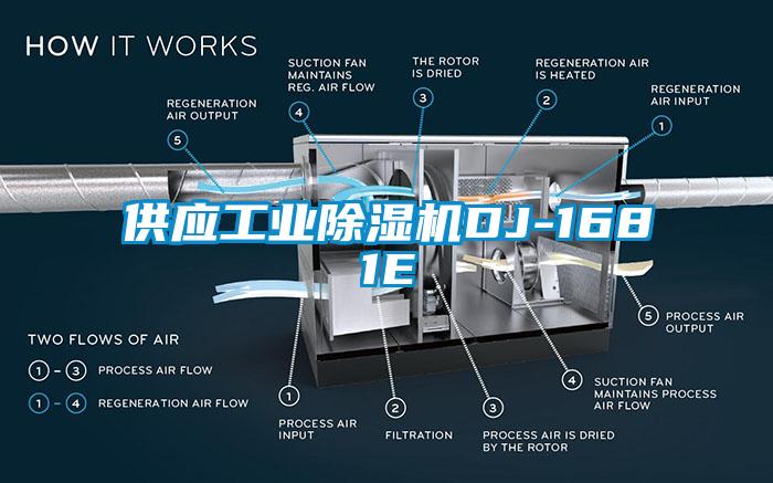 供应工业草莓视频APP在线DJ-1681E