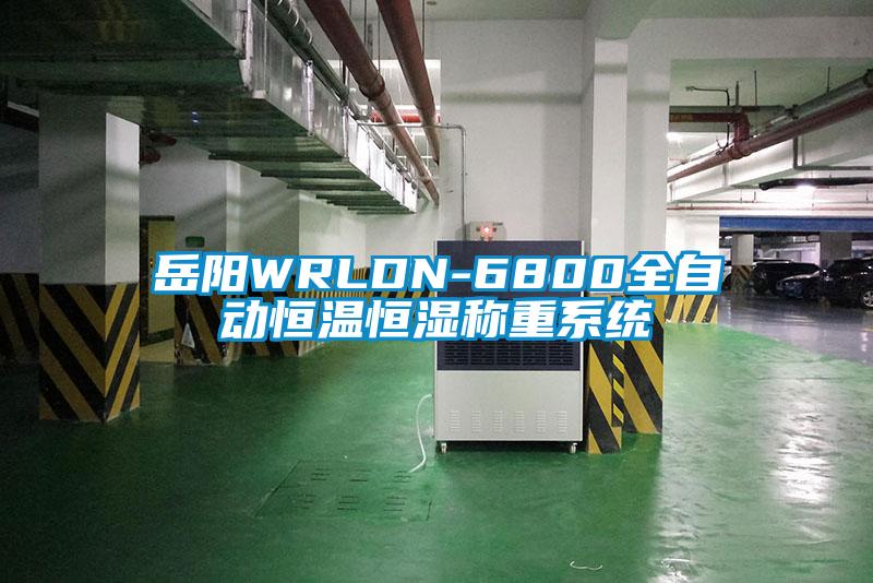 岳阳WRLDN-6800全自动恒温恒湿称重系统