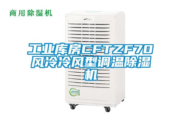 工业库房CFTZF70风冷冷风型调温草莓视频APP在线