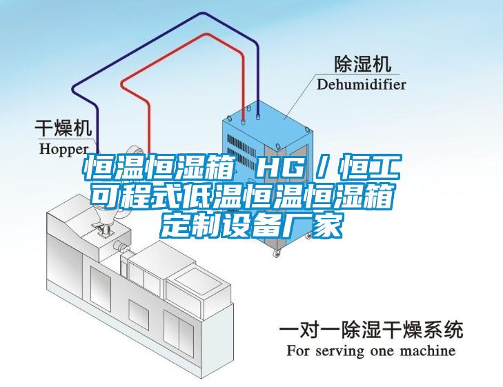 恒温恒湿箱 HG／恒工 可程式低温恒温恒湿箱 定制设备厂家