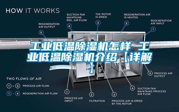 工业低温草莓视频APP在线怎样 工业低温草莓视频APP在线介绍【详解】