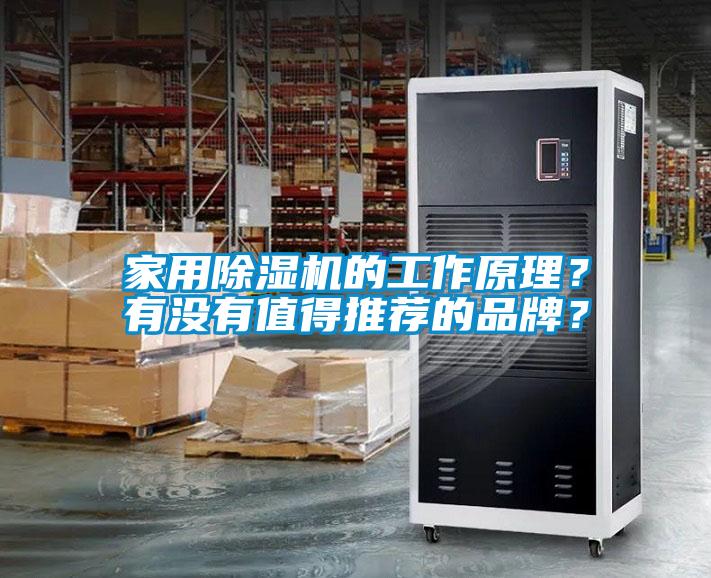 家用草莓视频APP在线的工作原理？有没有值得推荐的品牌？