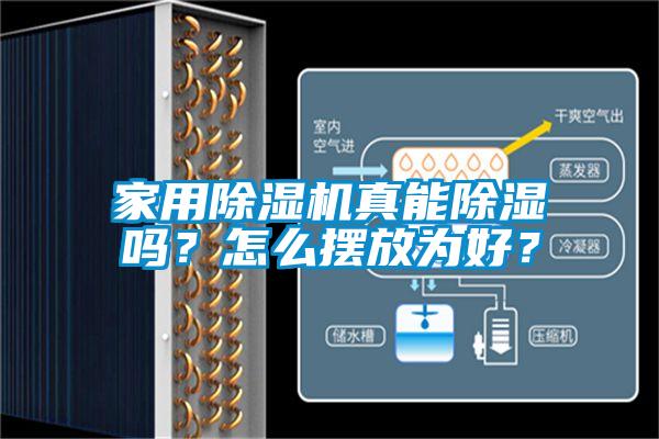 家用草莓视频APP在线真能除湿吗？怎么摆放为好？