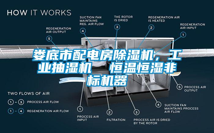 娄底市配电房草莓视频APP在线，工业抽湿机  恒温恒湿非标机器