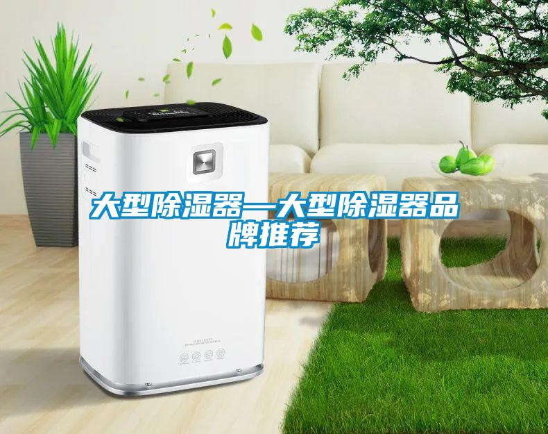 大型除湿器—大型除湿器品牌推荐