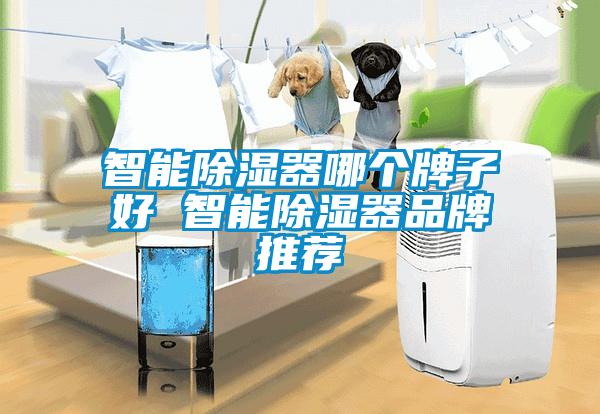 智能除湿器哪个牌子好 智能除湿器品牌推荐