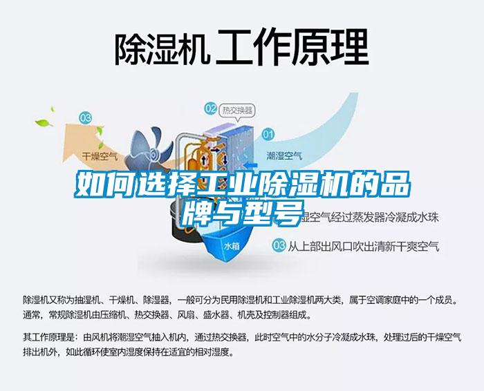 如何选择工业草莓视频APP在线的品牌与型号