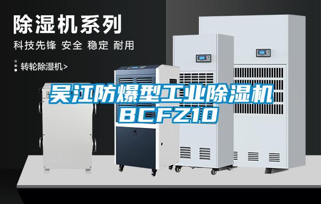 吴江防爆型工业草莓视频APP在线 BCFZ10