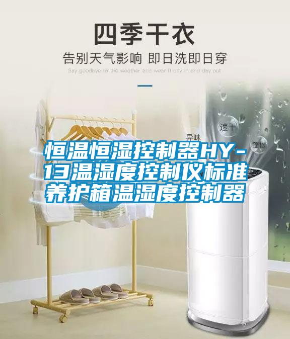 恒温恒湿控制器HY-13温湿度控制仪标准养护箱温湿度控制器