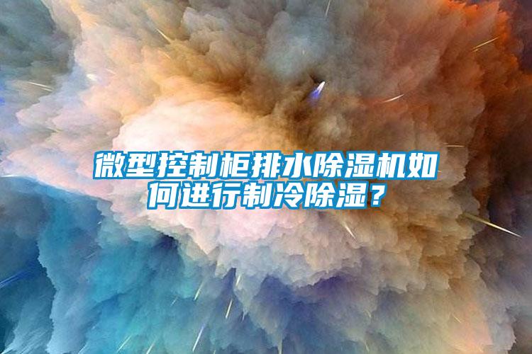 微型控制柜排水草莓视频APP在线如何进行制冷除湿？