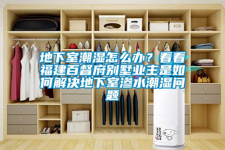 地下室潮湿怎么办？看看福建百督府别墅业主是如何解决地下室渗水潮湿问题