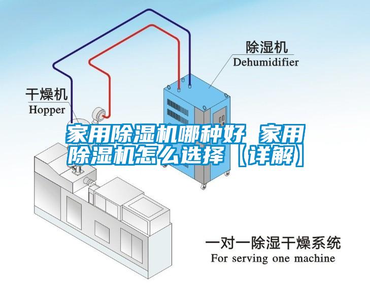 家用草莓视频APP在线哪种好 家用草莓视频APP在线怎么选择【详解】