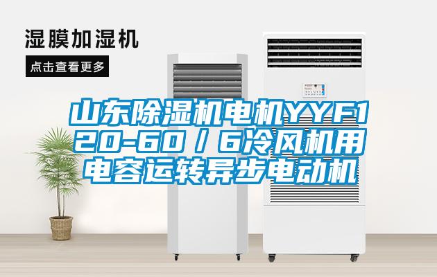 山东草莓视频APP在线电机YYF120-60／6冷风机用电容运转异步电动机