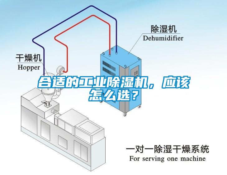 合适的工业草莓视频APP在线，应该怎么选？