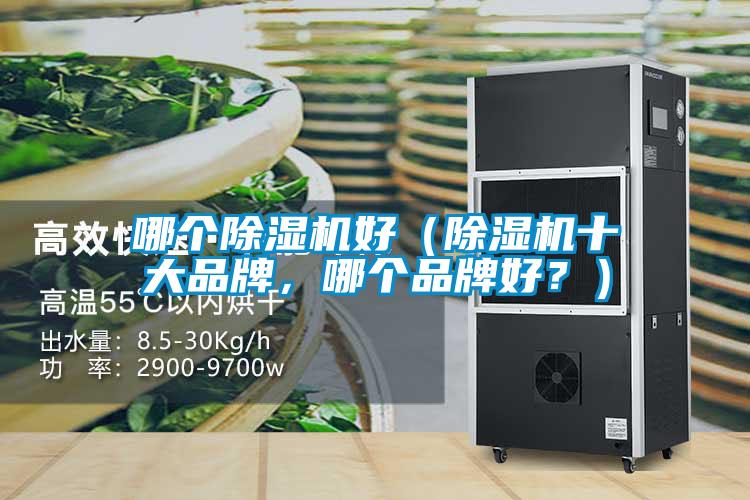 哪个草莓视频APP在线好（草莓视频APP在线十大品牌，哪个品牌好？）