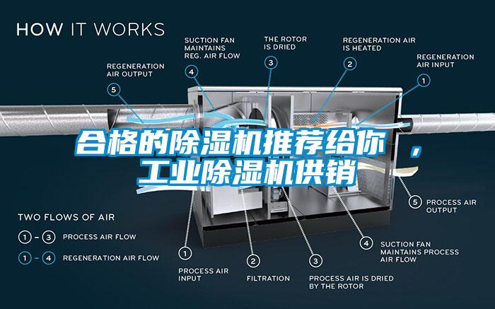 合格的草莓视频APP在线推荐给你 ，工业草莓视频APP在线供销