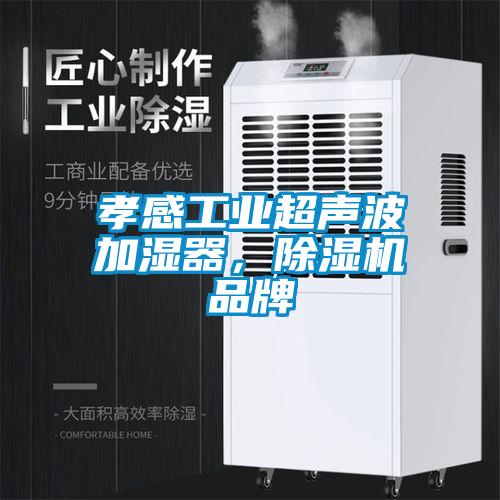 孝感工业超声波加湿器，草莓视频APP在线品牌