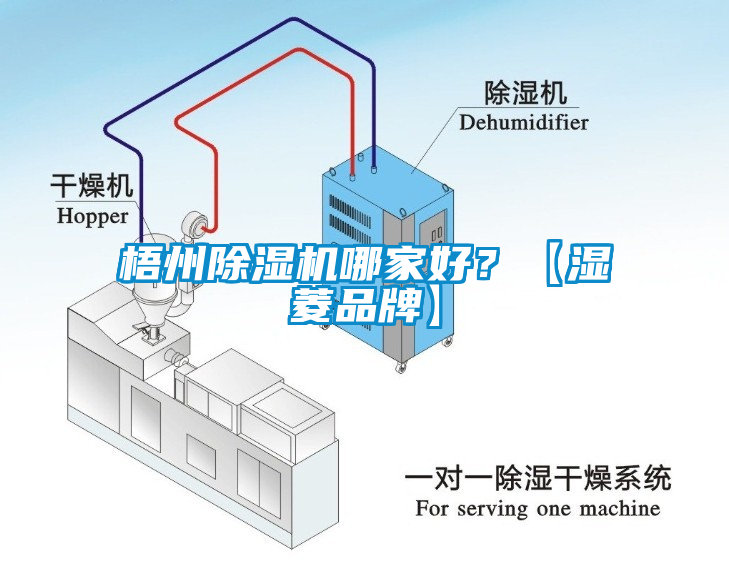 梧州草莓视频APP在线哪家好？【湿菱品牌】