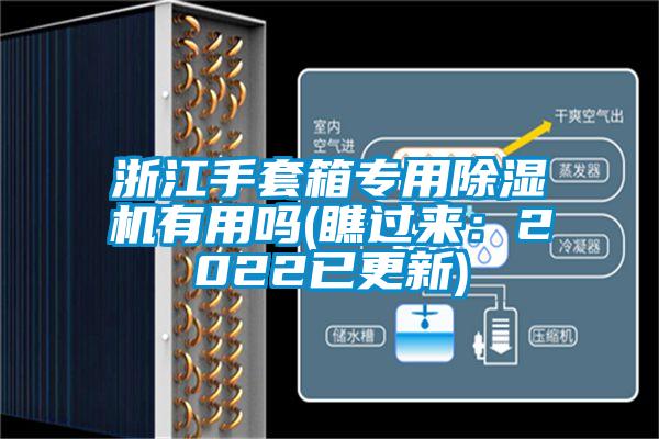 浙江手套箱专用草莓视频APP在线有用吗(瞧过来：2022已更新)