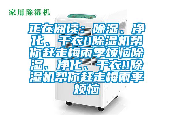 正在阅读：除湿、净化、干衣!!草莓视频APP在线帮你赶走梅雨季烦恼除湿、净化、干衣!!草莓视频APP在线帮你赶走梅雨季烦恼