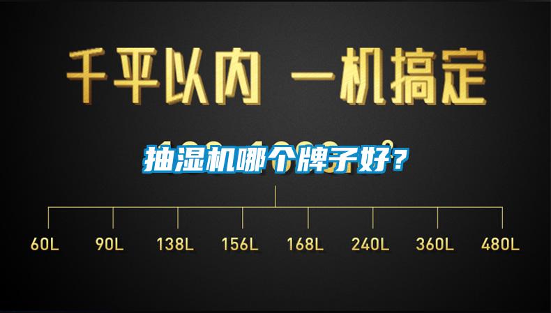 抽湿机哪个牌子好？