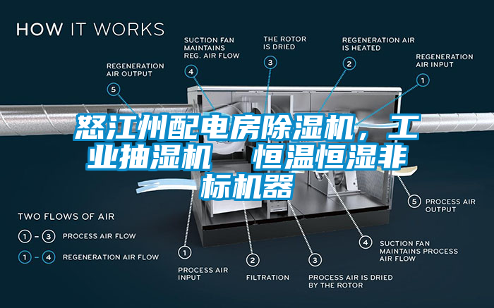 怒江州配电房草莓视频APP在线，工业抽湿机  恒温恒湿非标机器