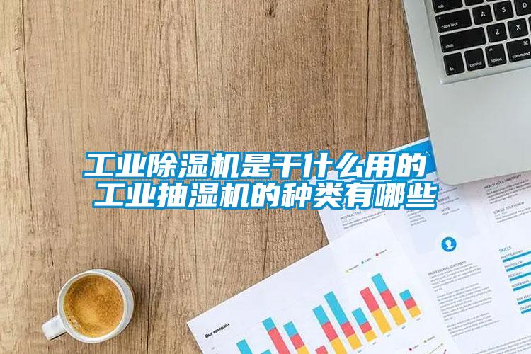 工业草莓视频APP在线是干什么用的 工业抽湿机的种类有哪些