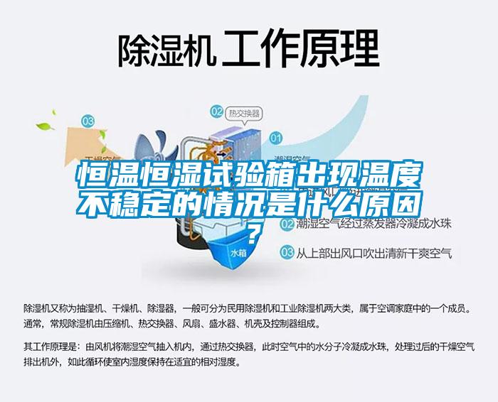 恒温恒湿试验箱出现温度不稳定的情况是什么原因？