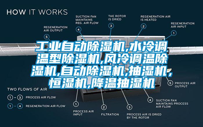 工业自动草莓视频APP在线,水冷调温型草莓视频APP在线,风冷调温草莓视频APP在线,自动草莓视频APP在线,抽湿机，恒湿机,降温抽湿机