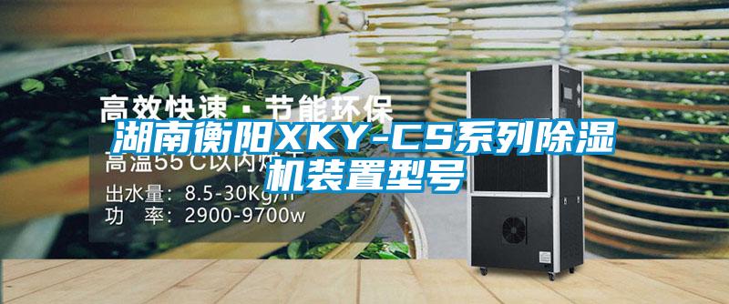 湖南衡阳XKY-CS系列草莓视频APP在线装置型号