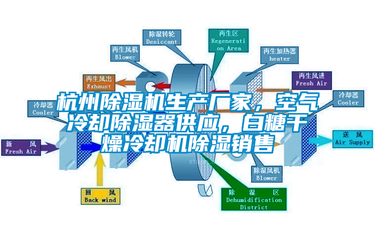 杭州草莓视频APP在线生产厂家，空气冷却除湿器供应，白糖干燥冷却机除湿销售