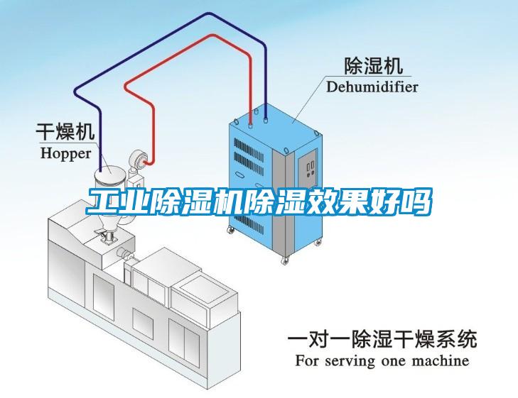 工业草莓视频APP在线除湿效果好吗