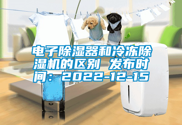 电子除湿器和冷冻草莓视频APP在线的区别 发布时间：2022-12-15