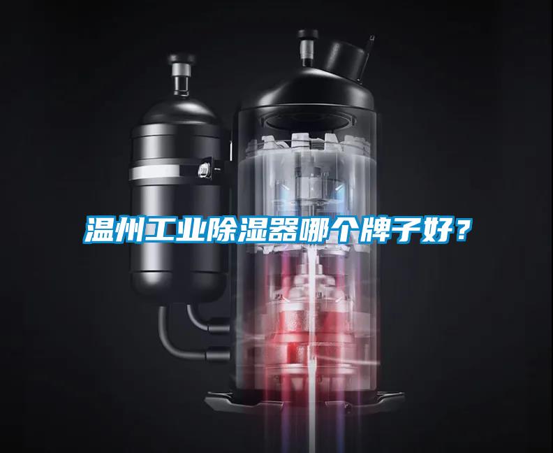 温州工业除湿器哪个牌子好？