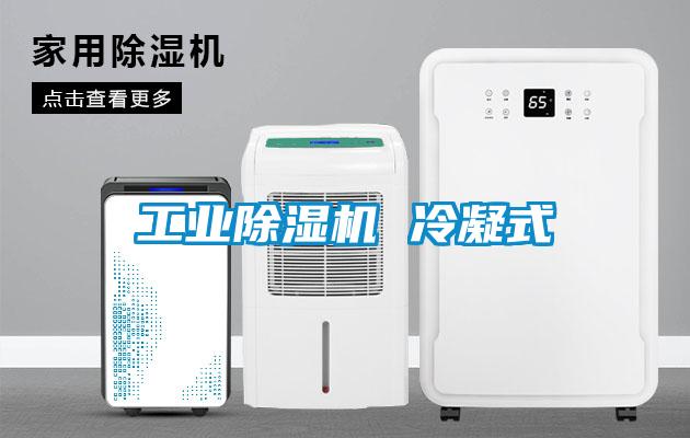 工业草莓视频APP在线 冷凝式