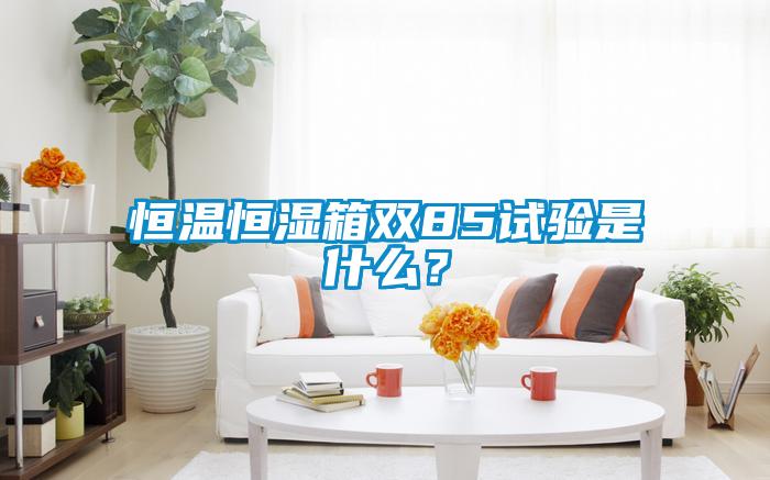 恒温恒湿箱双85试验是什么？