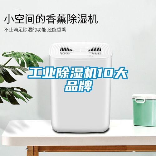 工业草莓视频APP在线10大品牌