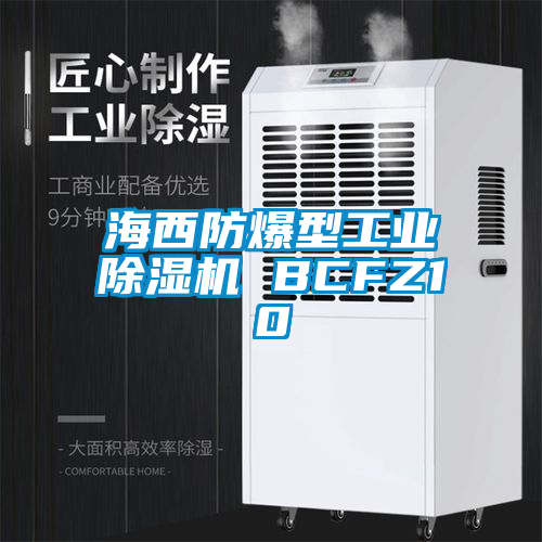 海西防爆型工业草莓视频APP在线 BCFZ10