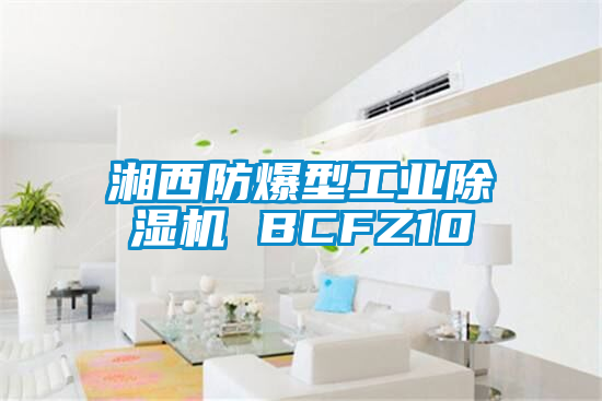 湘西防爆型工业草莓视频APP在线 BCFZ10